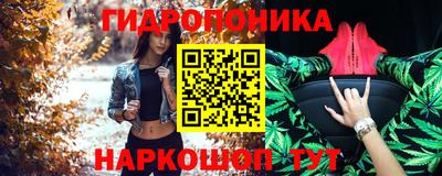 винт Донецк