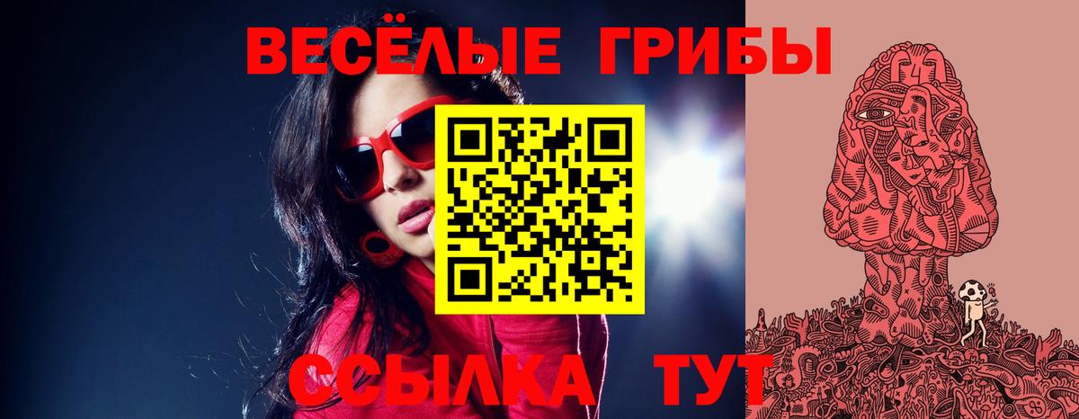 Галлюциногенные грибы мицелий Можайск