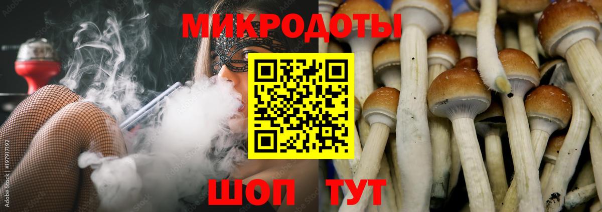 Галлюциногенные грибы Psilocybe  Псилоцибиновые грибы Psilocybe  Вход с VPN  Можайск 